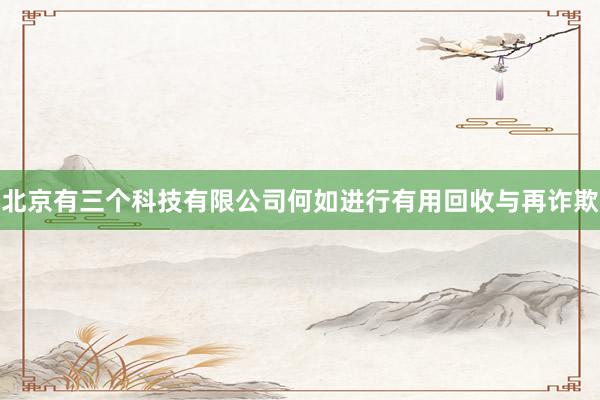 北京有三个科技有限公司何如进行有用回收与再诈欺