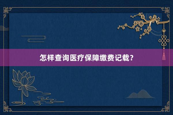 怎样查询医疗保障缴费记载?