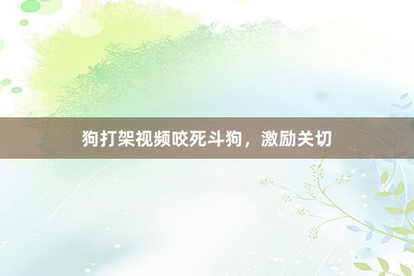 狗打架视频咬死斗狗，激励关切