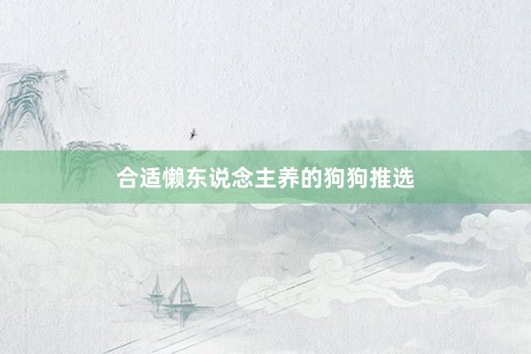 合适懒东说念主养的狗狗推选